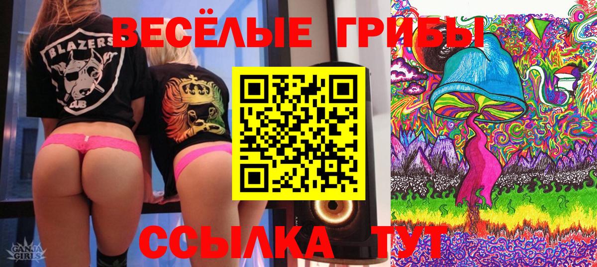 Псилоцибиновые грибы Psilocybe Мичуринск